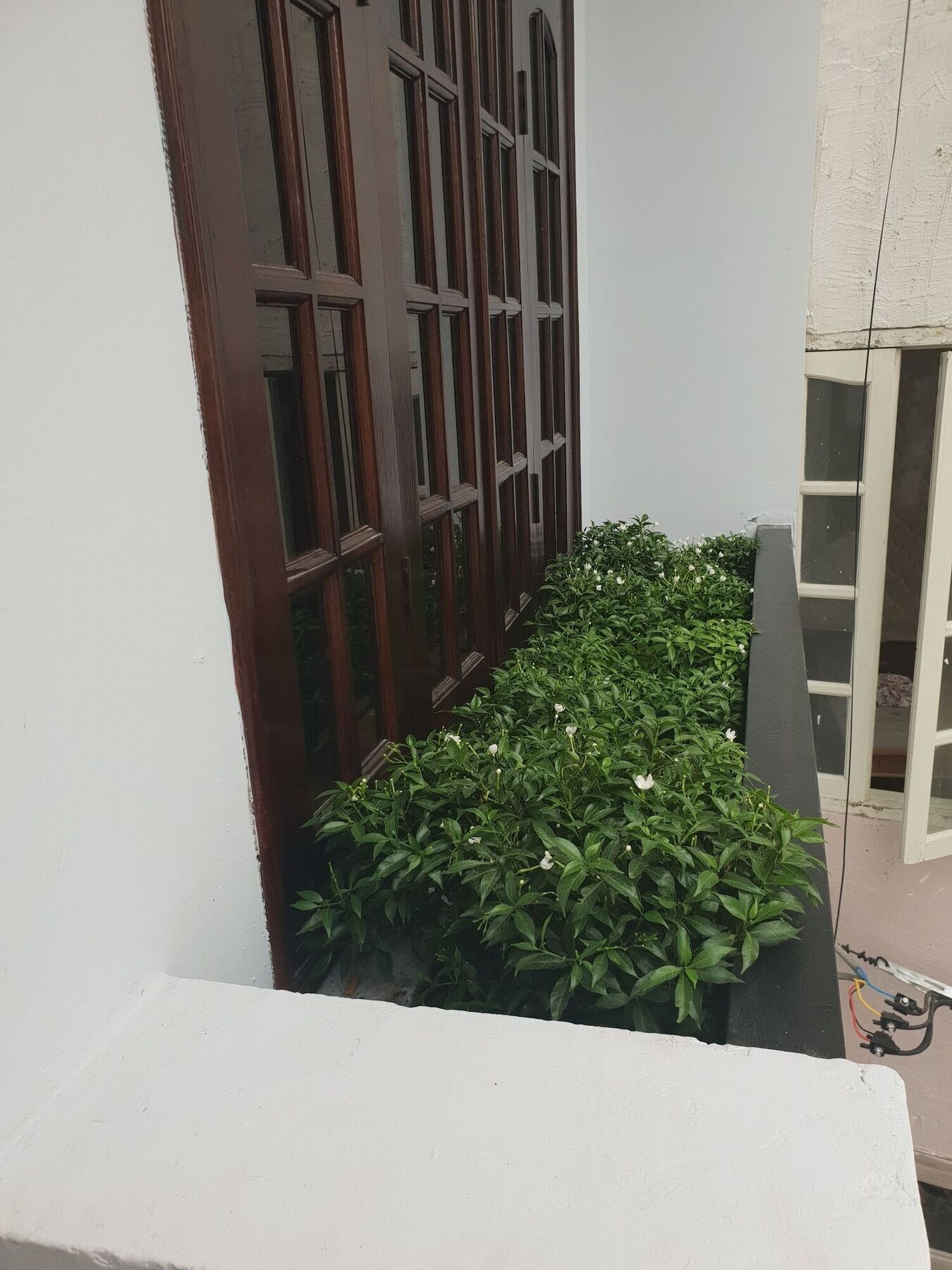 Thai Anh House - The Airport Ho Chi Minh-stad Buitenkant foto